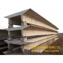 加工混凝土雙T板，大型預(yù)應(yīng)力雙T板，山東雙T板
